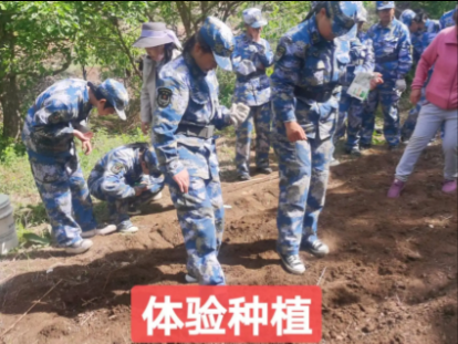 河北护航叛逆管教学校_种植体验