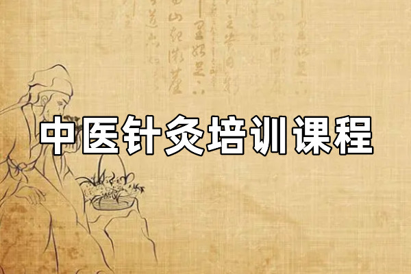 中医针灸培训课程