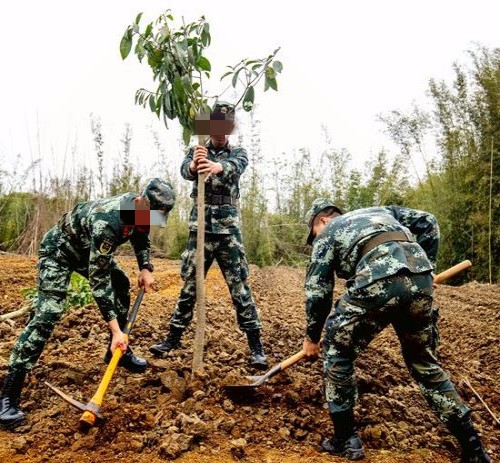 春华叛逆特训学校_活动瞬间