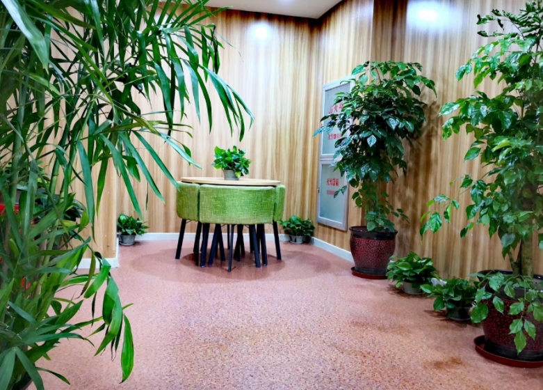 上海东南数理化课外辅导_学校环境