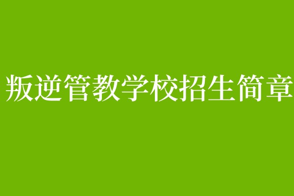叛逆学校招生简章