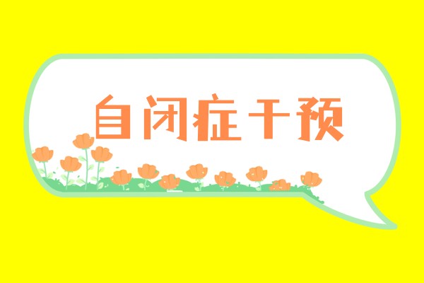 自闭症干预课程