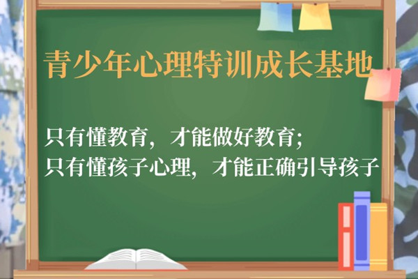 青少年素质教育课程