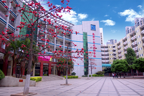 深圳市龙华中英文实验学校_校区环境