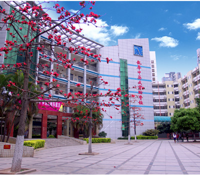 深圳市龙华中英文实验学校