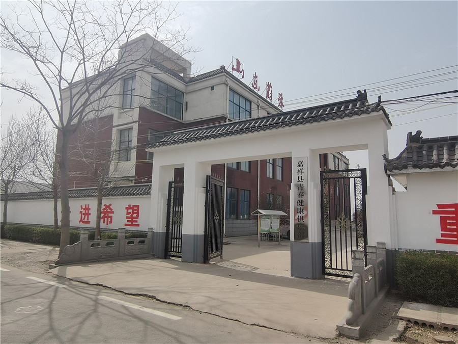 山东青少年素质教育_学校环境