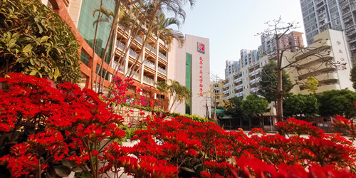 深圳市龙华中英文实验学校_校区环境