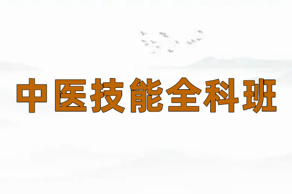 中医技能全科班
