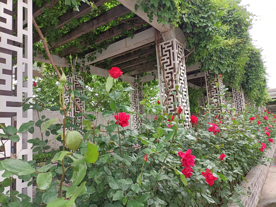 上岸圈子考研_校园