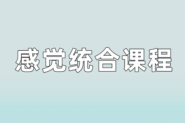 感觉统合课程