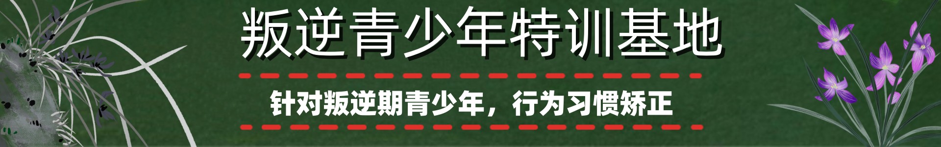 苗启德青少年素质特训基地