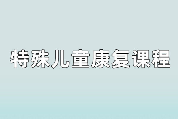 特殊儿童康复课程