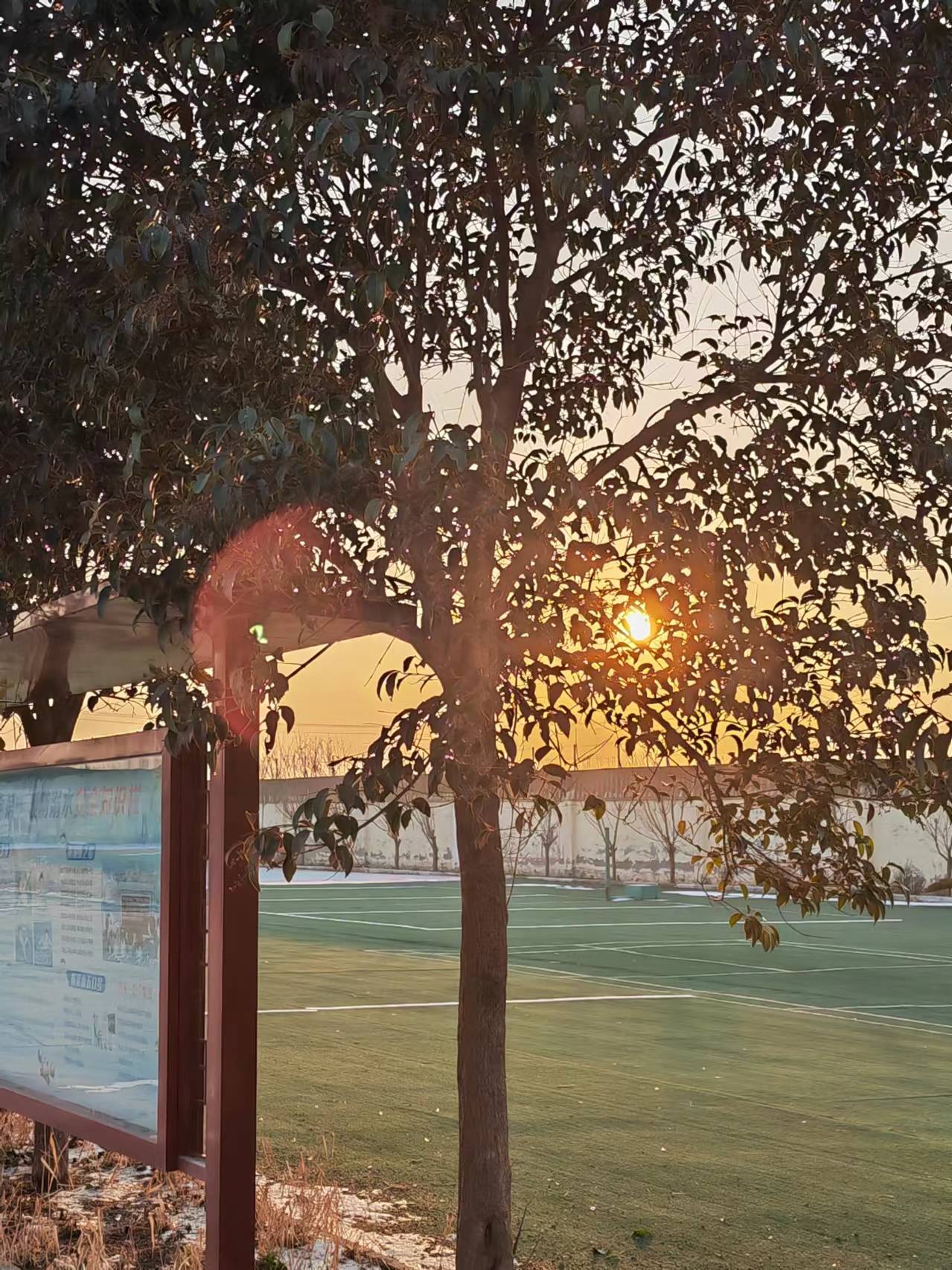 叛逆青少年管教特训学校_学校环境