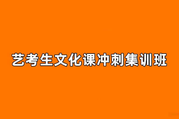 艺考生文化课冲刺集训招生简章