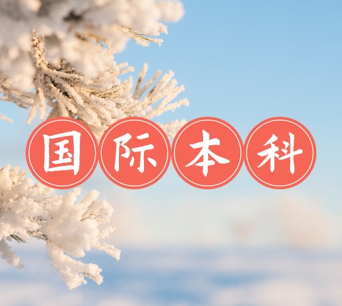 中外合作办学国际本科服务平台