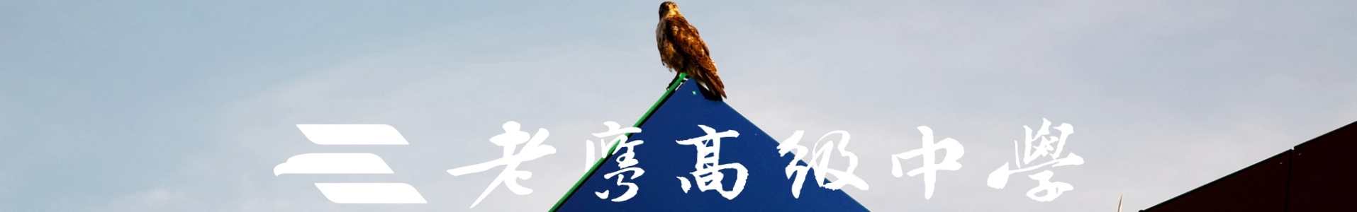 杭州老鹰高级中学