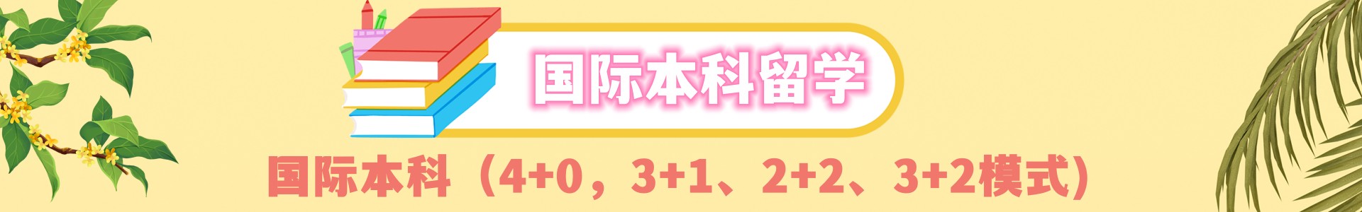 中外合作办学国际本科服务平台