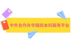 中外合作办学国际本科服务平台