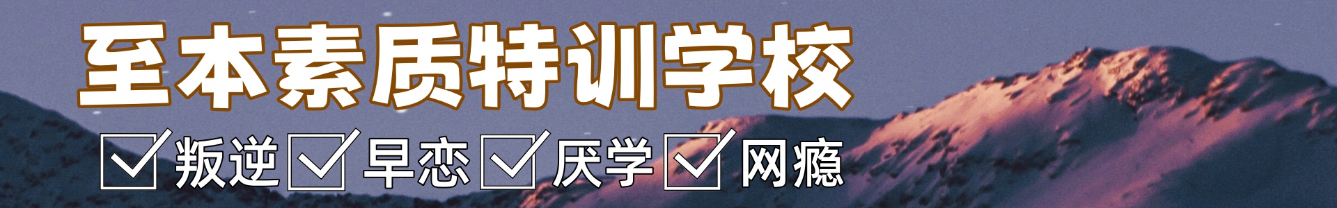 至本素质特训学校