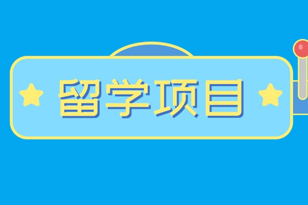 留学申请项目介绍