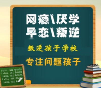叛逆特训课程