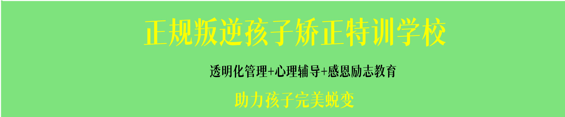 叛逆戒网瘾学校 