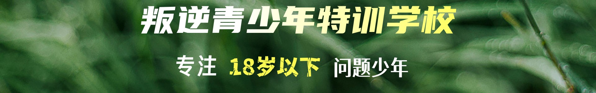 昆明育未来素质拓展基地