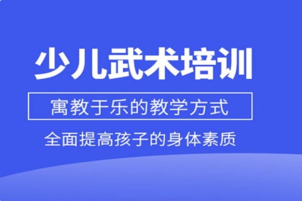 少儿武术培训班