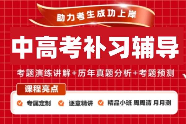 高中补习辅导班