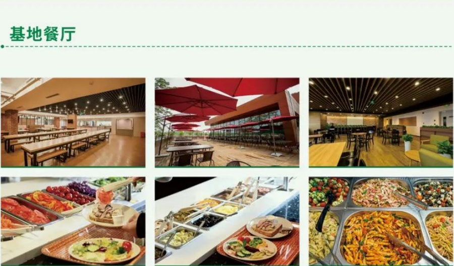 哈尔滨雷鹰叛逆管教学校_餐厅