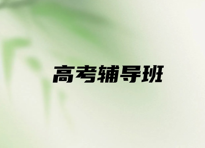 高考辅导班