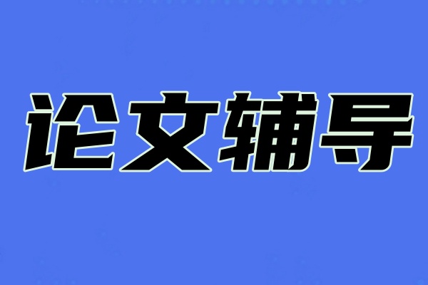 论文辅导
