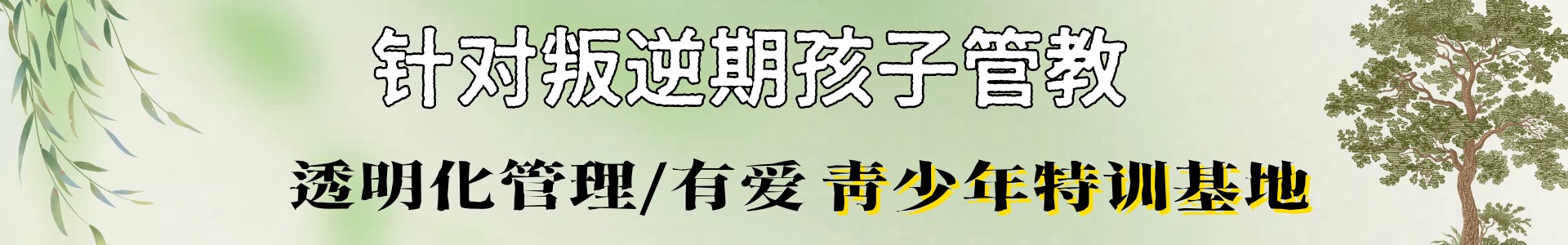 励志未来训练营