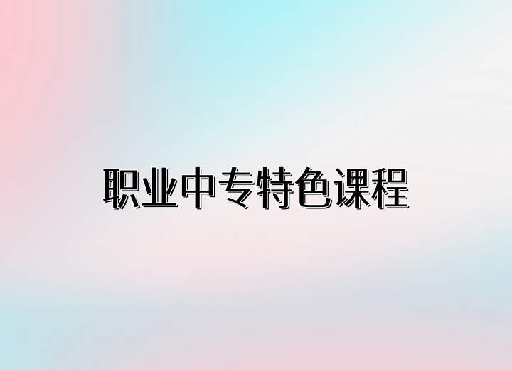 东莞市南博职业技术学校特色课程