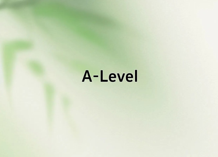 A-Level深度教学