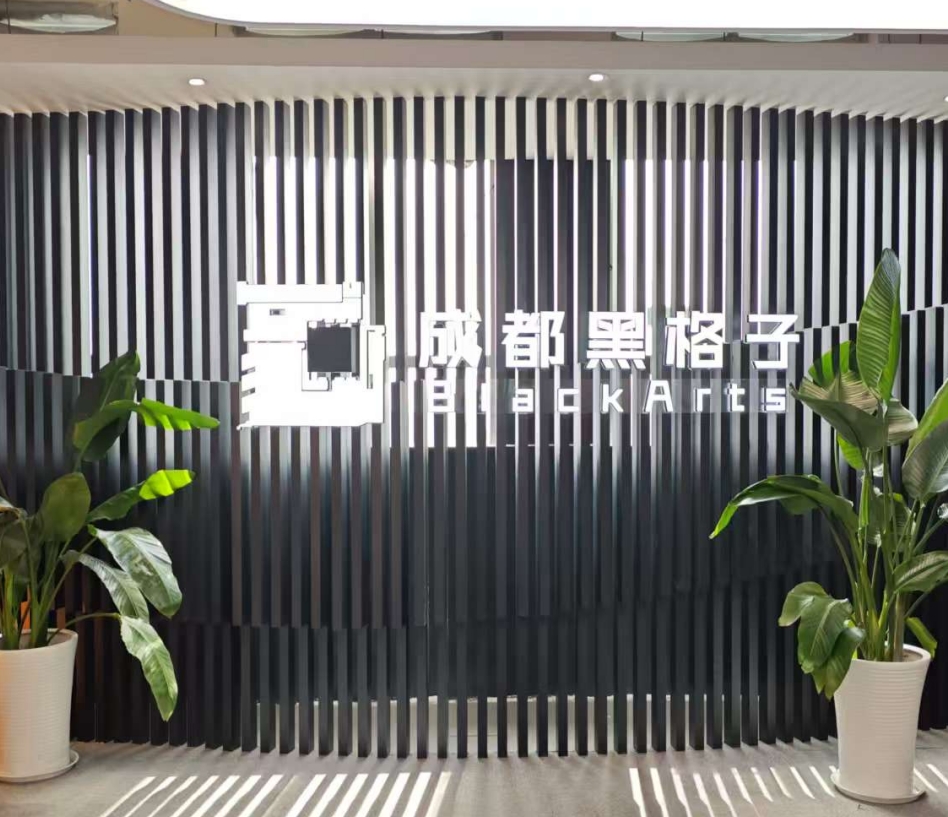 成都黑格子视界教育