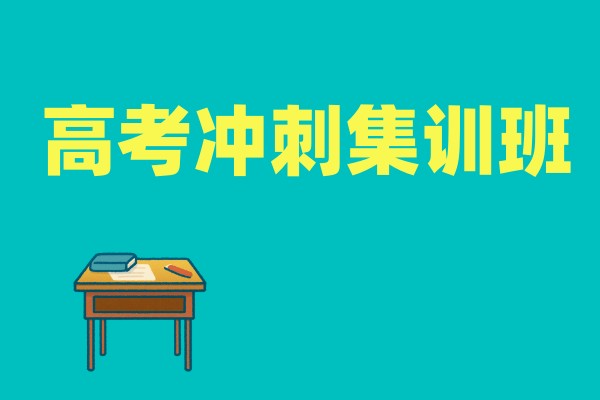 成都高考冲刺集训班
