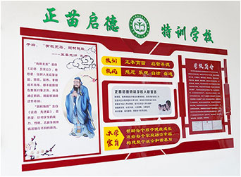 正苗启德特训学校_学校理念