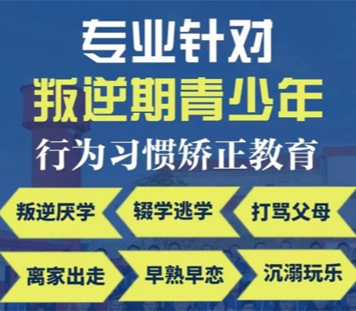 简诚叛逆学校