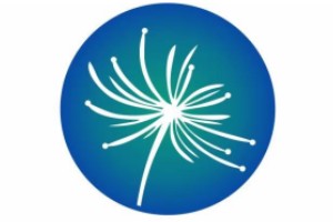 艾腾IT培训机构