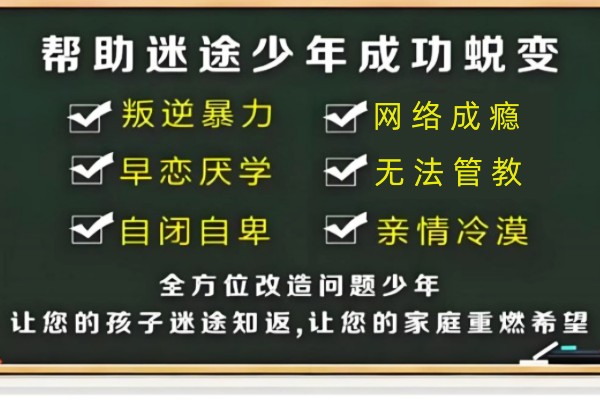 叛逆期青少年心理疏导课程