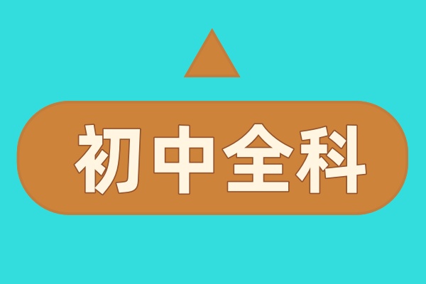 初中全科1v1辅导