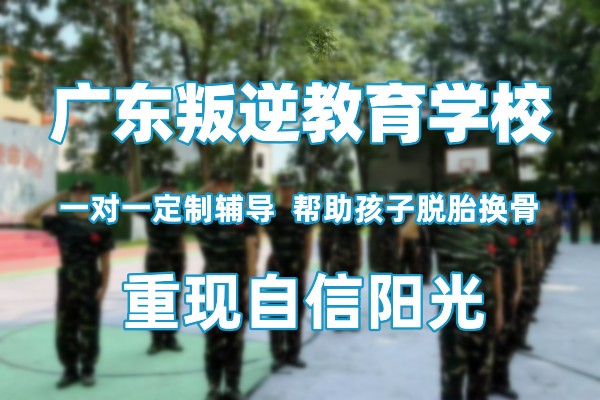 叛逆少年教育学校招生简章
