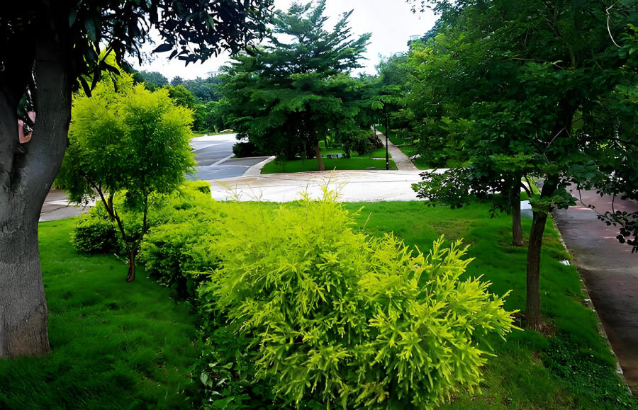 徐州青春期素质教育_环境展示