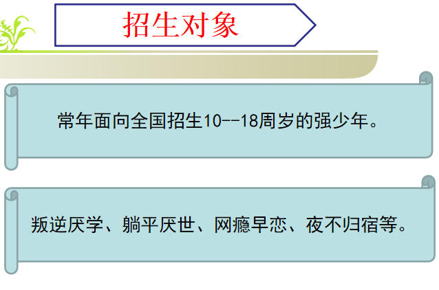 育新特训一周课表