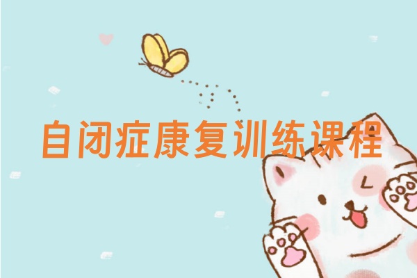 自闭症康复训练课程
