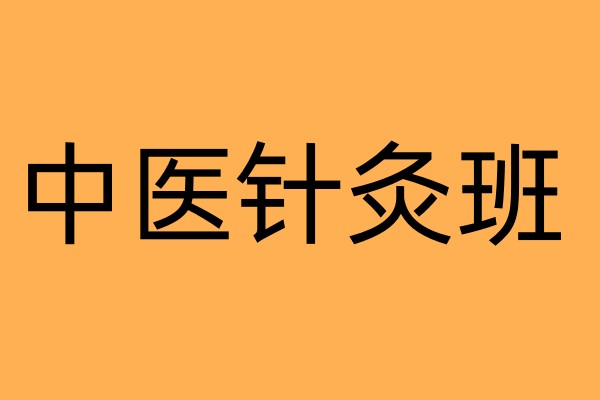 中医针灸技班
