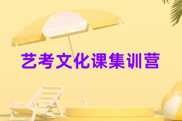 艺考文化课集训营