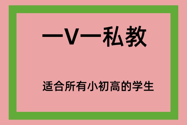 一v一私教补习班