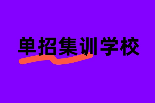 单招培训